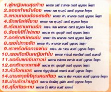 สายัณห์ นิรันดร - รวมฮิต16เพลงดังตลับเพชร VCD1313-web2